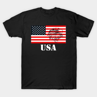 American Flag with Bald Eagle and USA logo T-Shirt